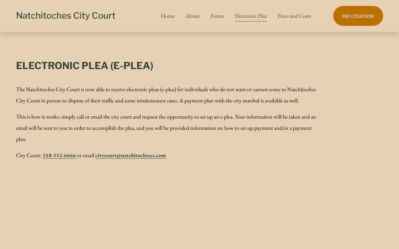 Natchitoches Parish traffic court records City Court electronic plea page